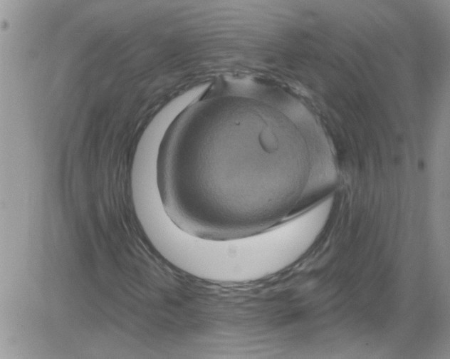 X0000084051202200703022206