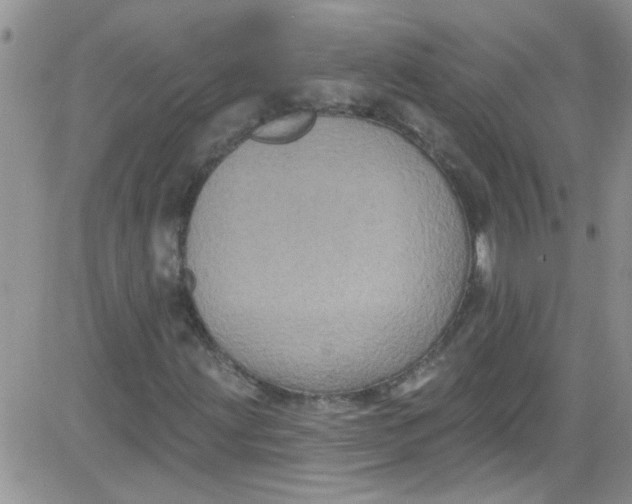 X0000084051203200703022206