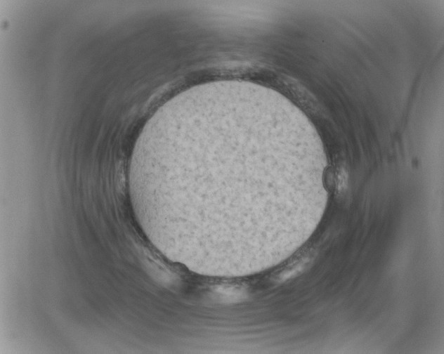 X0000084051204200703022206