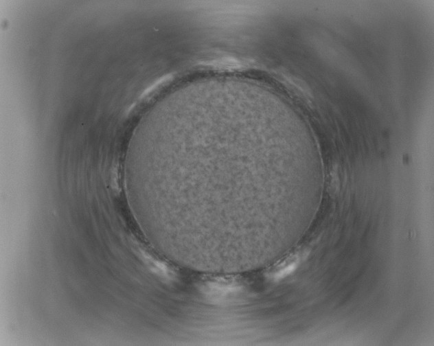 X0000084051205200703022206