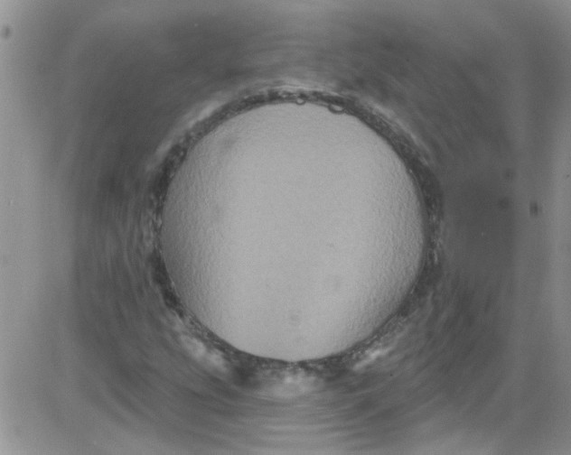 X0000084051207200703022206