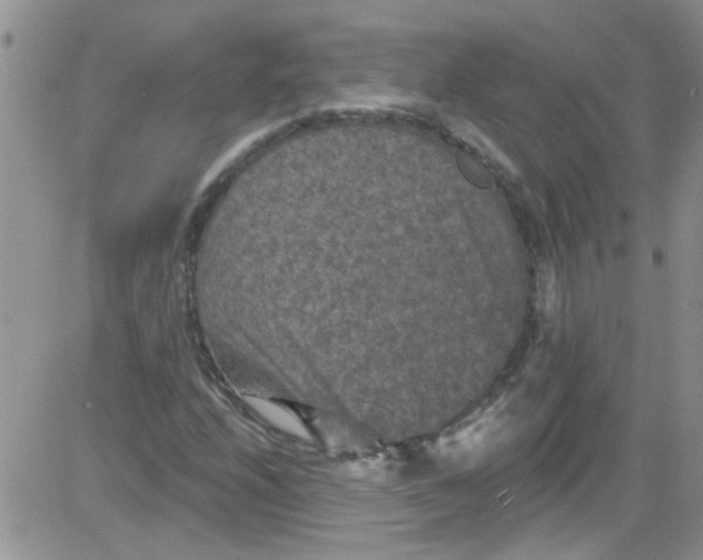 X0000084051208200703022206