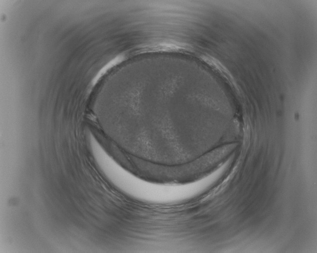 X0000084051210200703022206