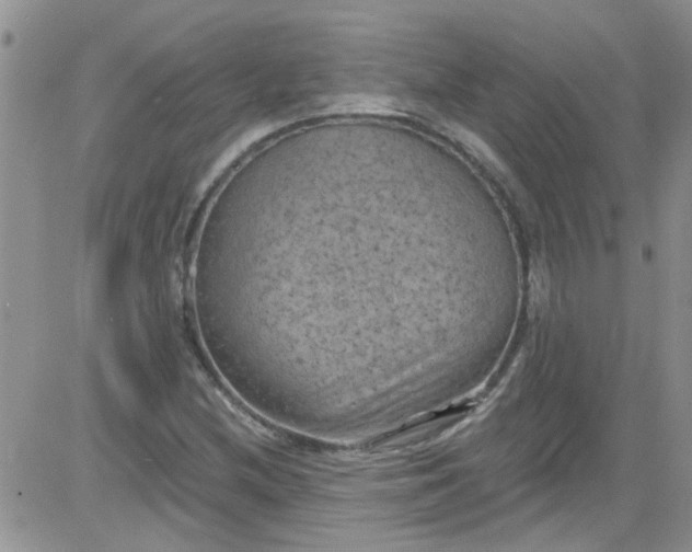 X0000084051212200703022206