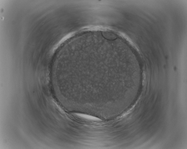 X0000084051213200703022206