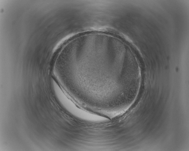 X0000084051214200703022206