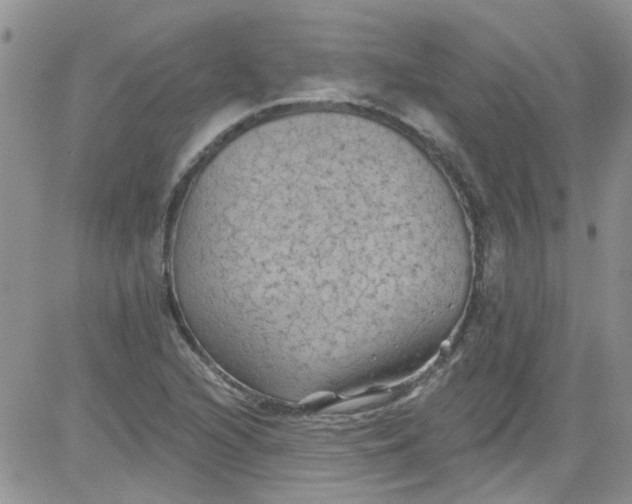 X0000084051216200703022206