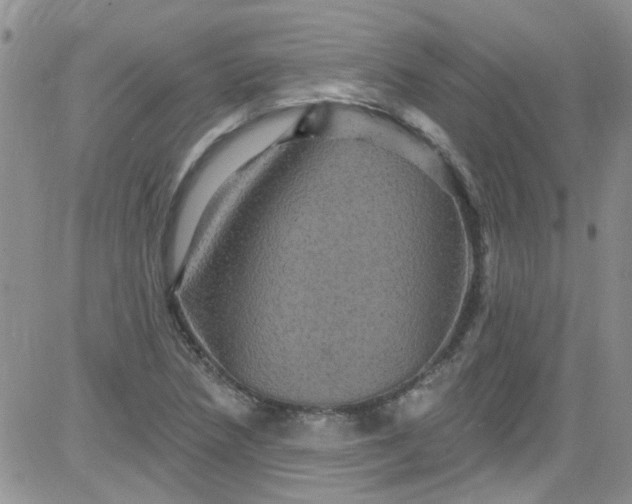 X0000084051218200703022206