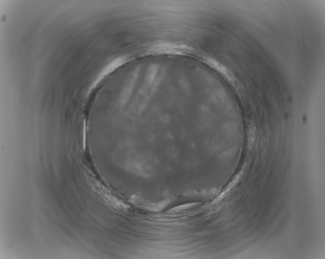 X0000084051219200703022206