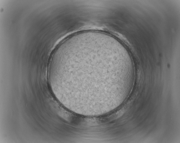 X0000084051220200703022206