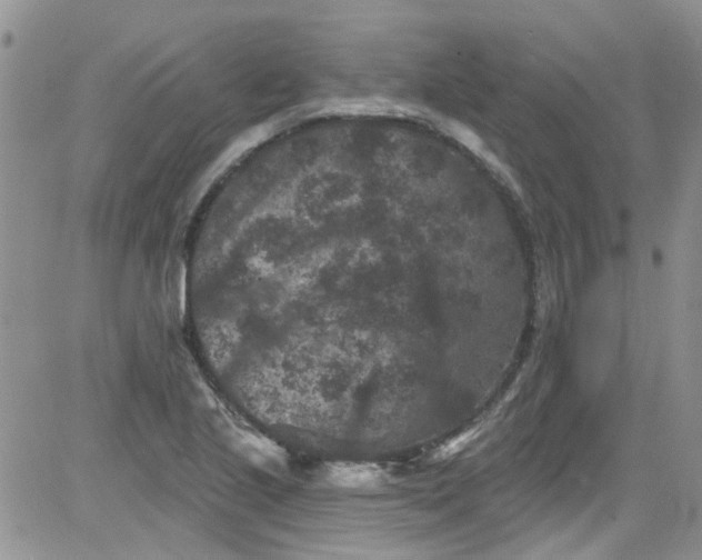 X0000084051221200703022206