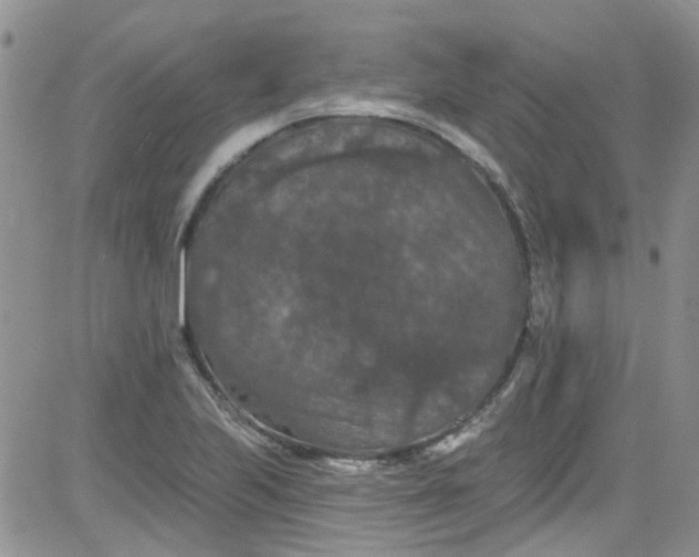 X0000084051223200703022206