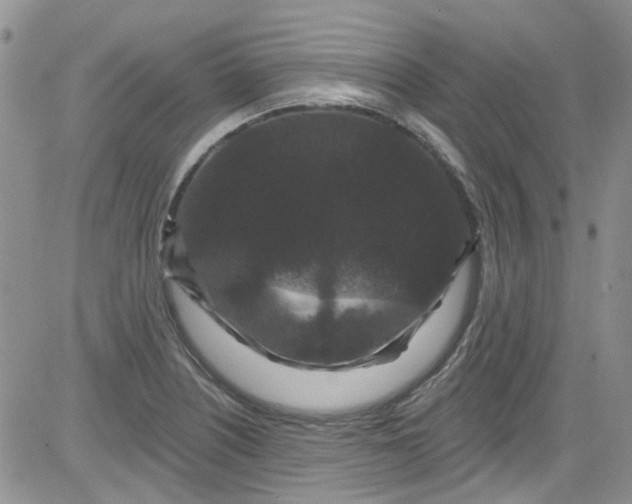 X0000084051226200703022206