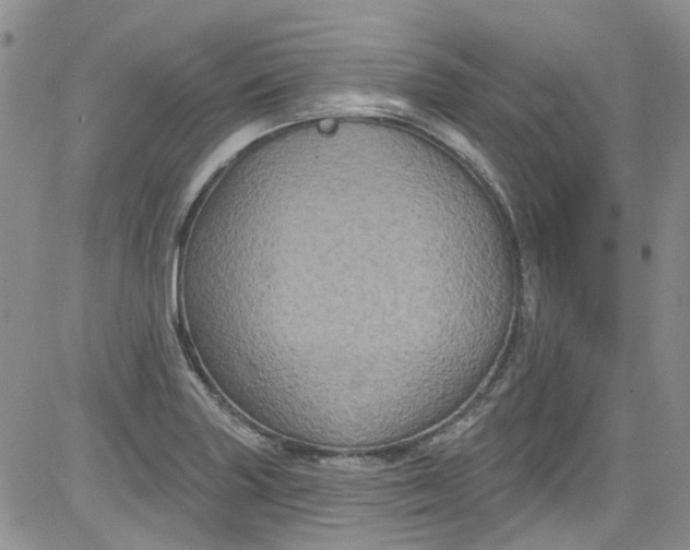 X0000084051227200703022206