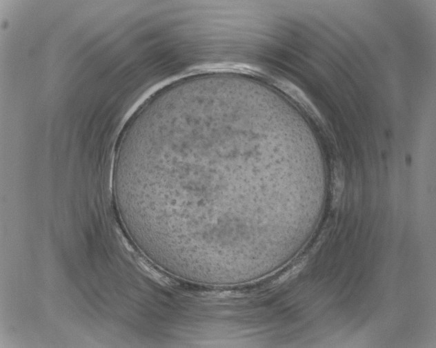 X0000084051228200703022206