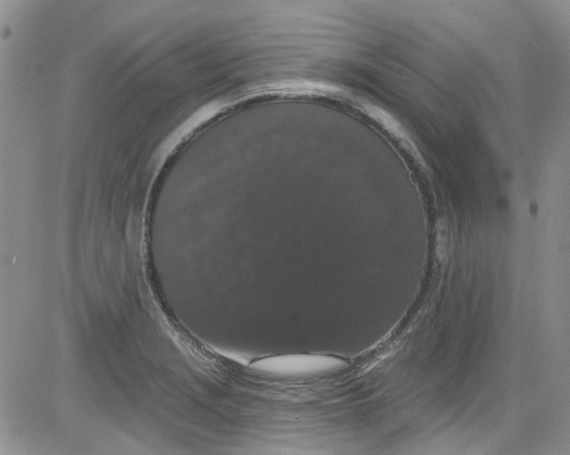 X0000084051229200703022206