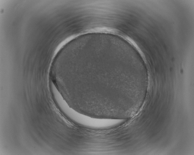 X0000084051230200703022206