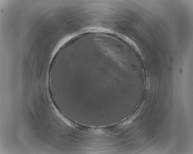 X0000084051231200703022206