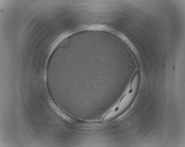 X0000084051232200703022206