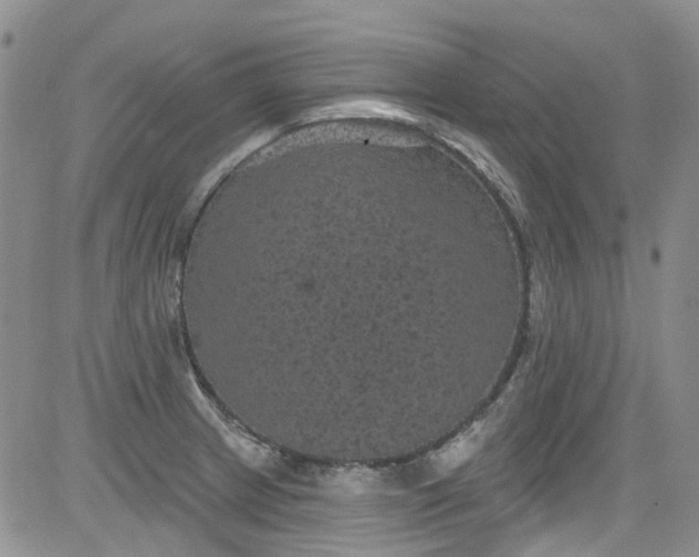 X0000084051233200703022206