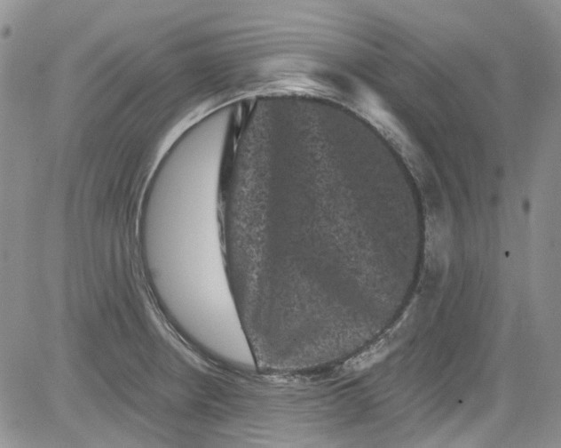 X0000084051234200703022206