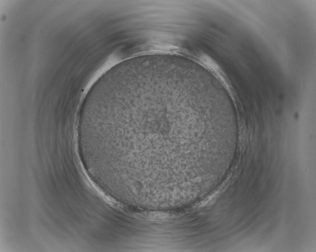 X0000084051235200703022206