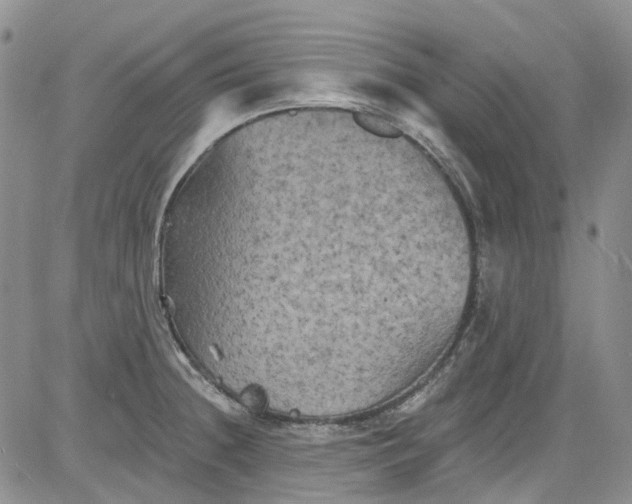 X0000084051236200703022206