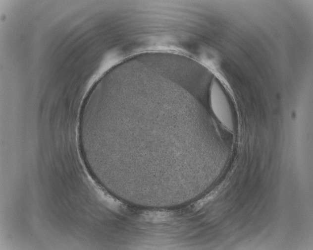 X0000084051237200703022206