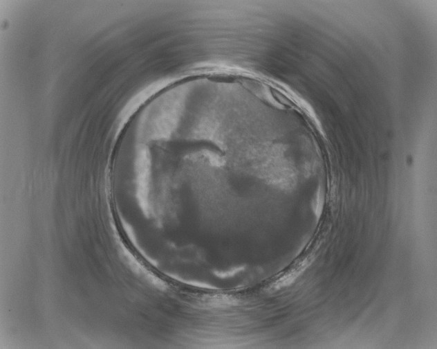 X0000084051239200703022206