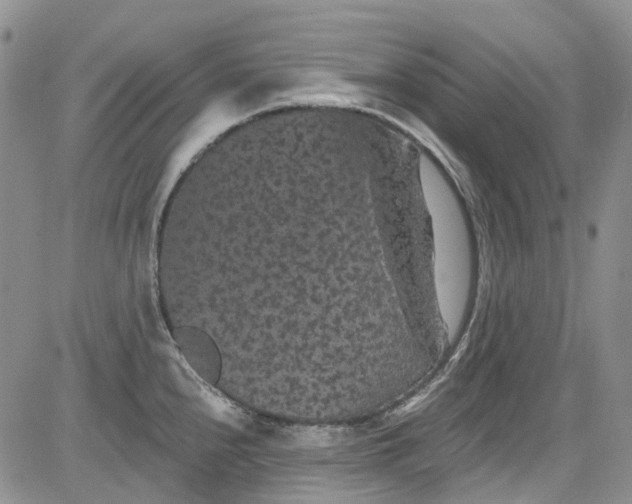 X0000084051240200703022206