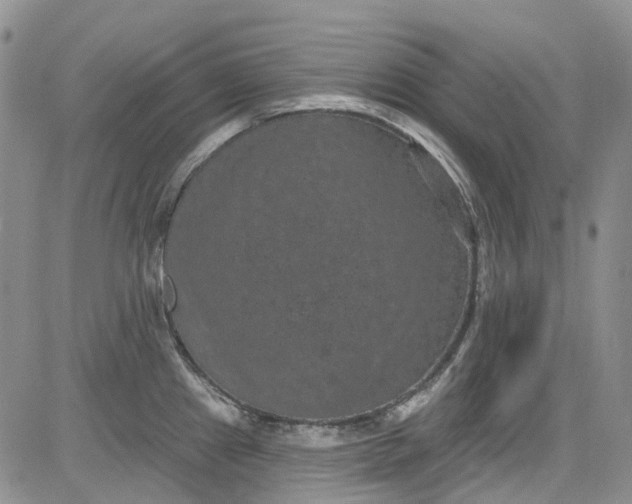 X0000084051241200703022206