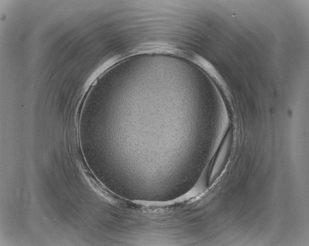 X0000084051242200703022206