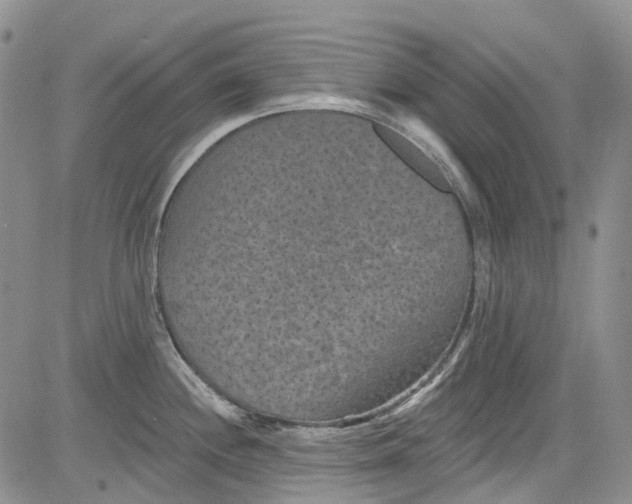 X0000084051244200703022206