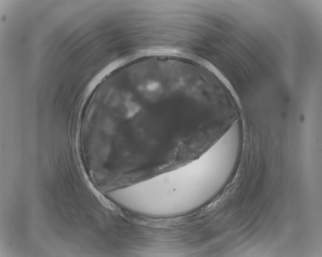 X0000084051245200703022206