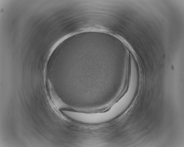 X0000084051246200703022206