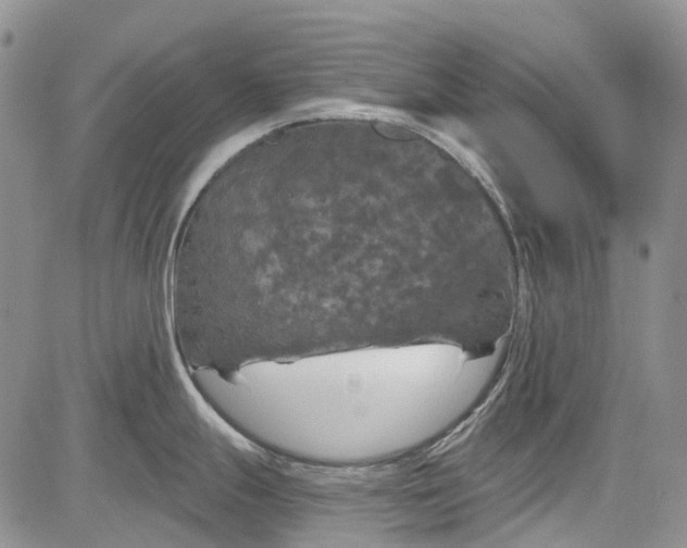 X0000084051247200703022206