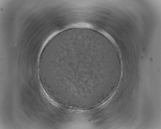 X0000084051248200703022206