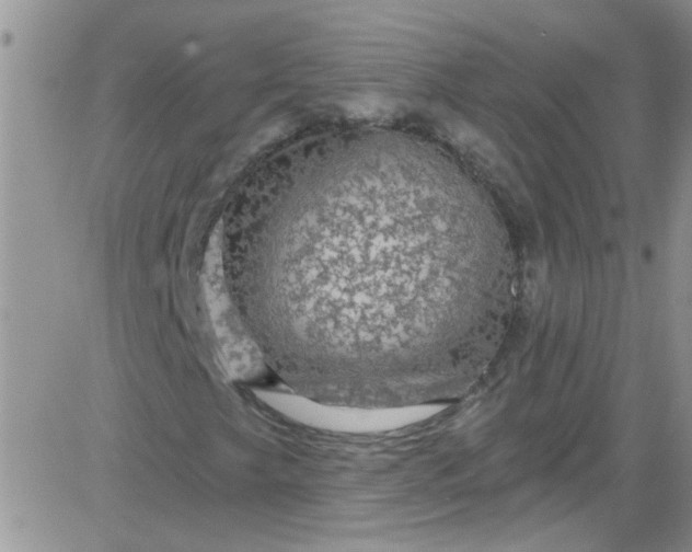 X0000084051249200703022206