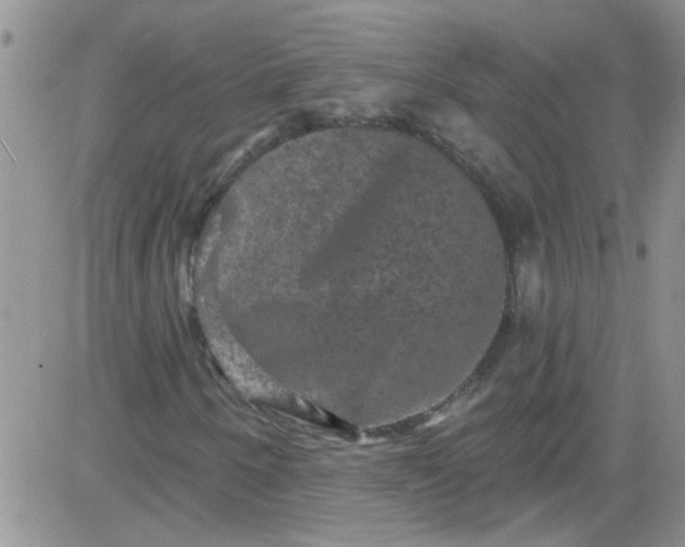 X0000084051250200703022206