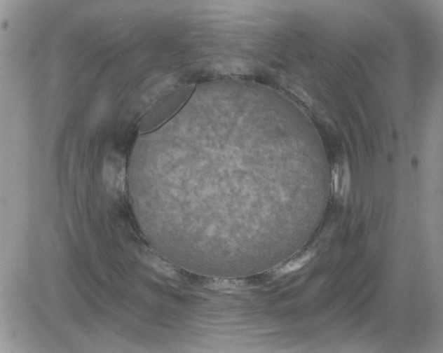 X0000084051251200703022206