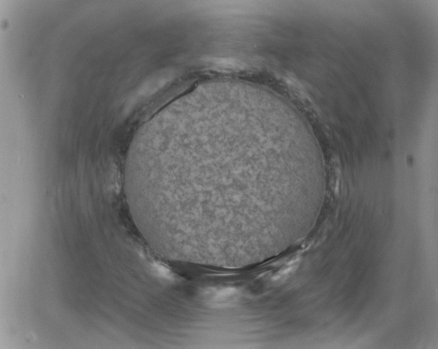 X0000084051253200703022206