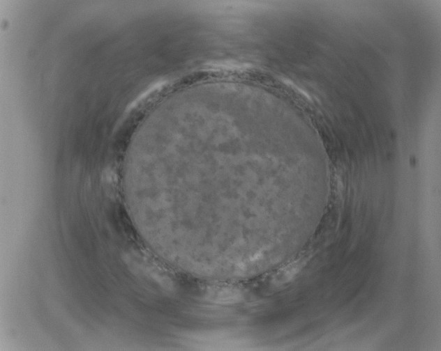 X0000084051254200703022206