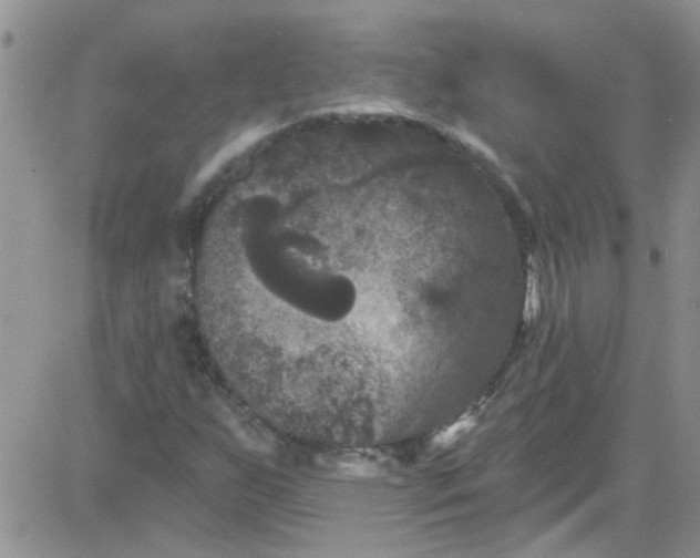 X0000084051255200703022206