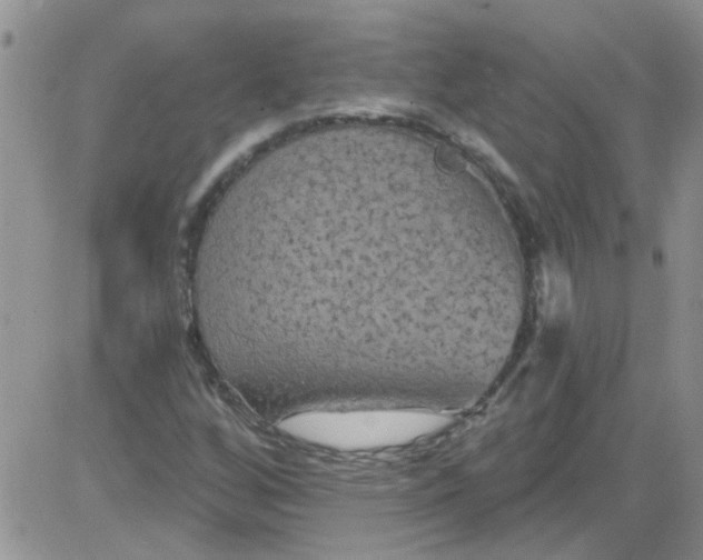 X0000084051256200703022206