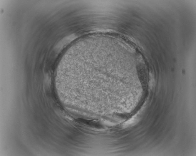 X0000084051257200703022206