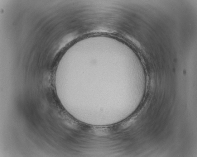 X0000084051258200703022206