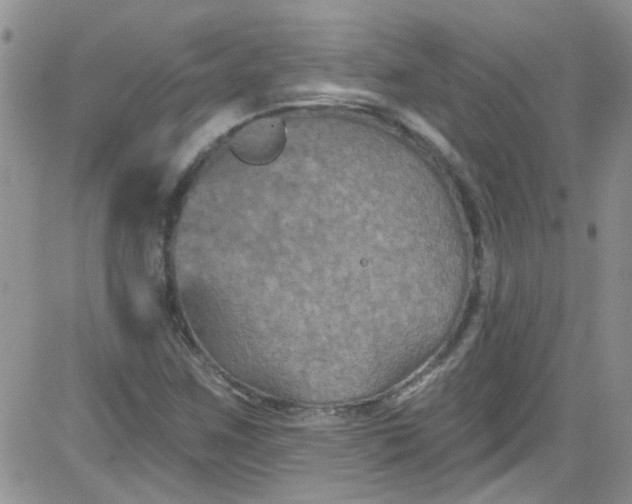 X0000084051259200703022206