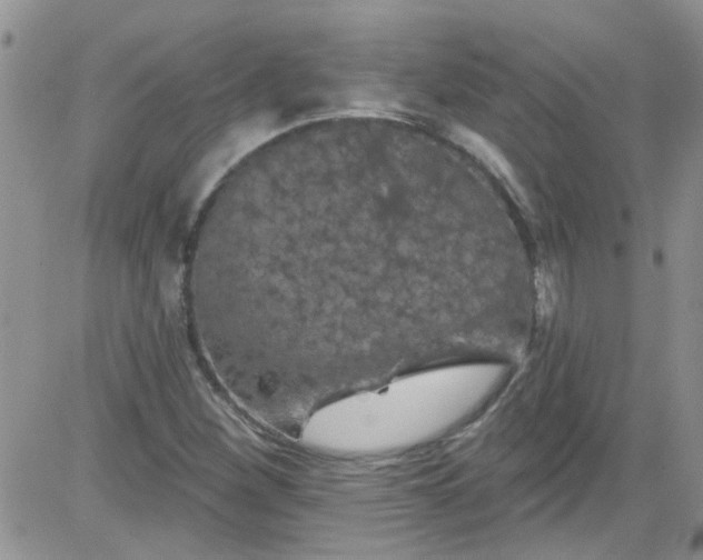 X0000084051260200703022205