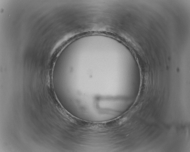 X0000084051262200703022205