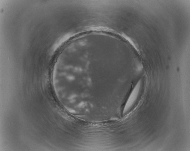 X0000084051263200703022205